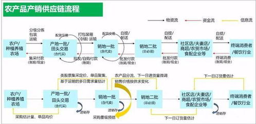 東方鑫達 全方位打造現代化農產品供應鏈體系