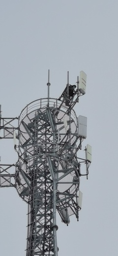 大雪時(shí)節(jié)，電信服務(wù)溫暖如約——記信息咨詢服務(wù)的堅(jiān)守與溫度